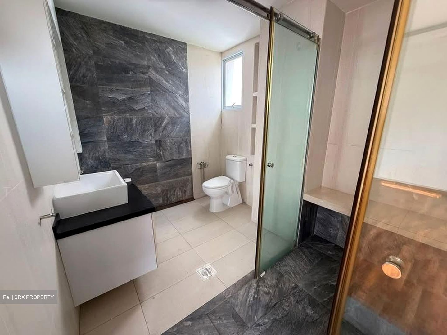 Thomson Grove (D26), Condominium #592808681